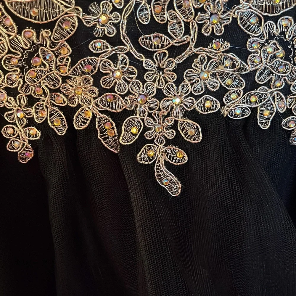 NWT Lenovia Off the shoulder Appliqué Tulle Dress - Picture 5 of 15